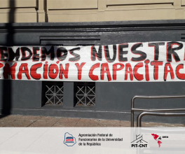 Defender derechos con un plan de lucha global