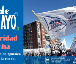 La fuerza está en la unidad y en la construcción colectiva